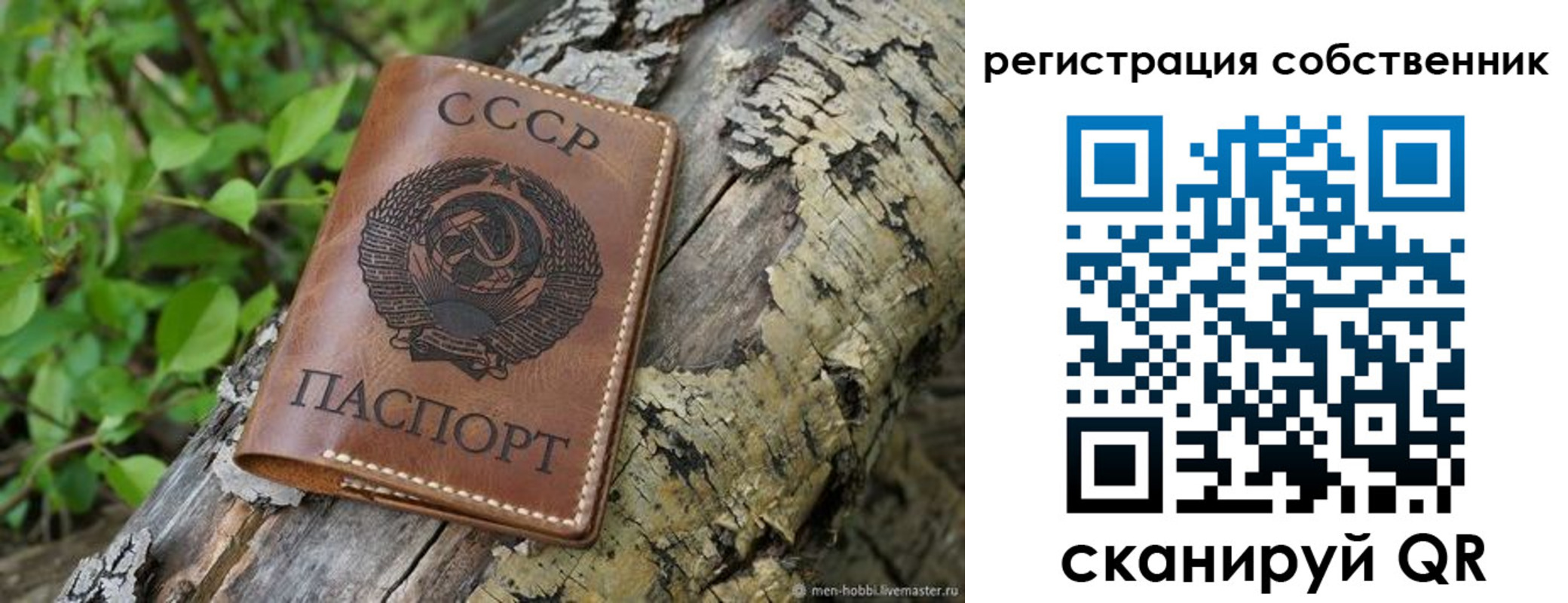 форма 3 в Ясном
